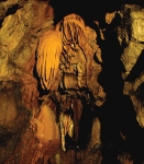http://www.ciciklub.si/.ci.8195.0.0.1..jpg