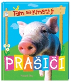 http://www.ciciklub.si/tam.na.kmetiji.prasici.ai.0.140.180.1..jpg
