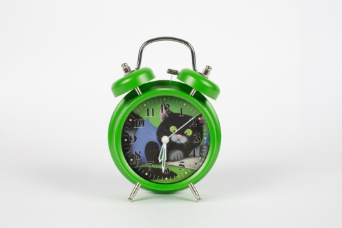 BUDILKA MAČEK MURI ZELENA