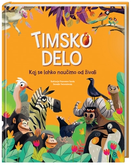 TIMSKO DELO